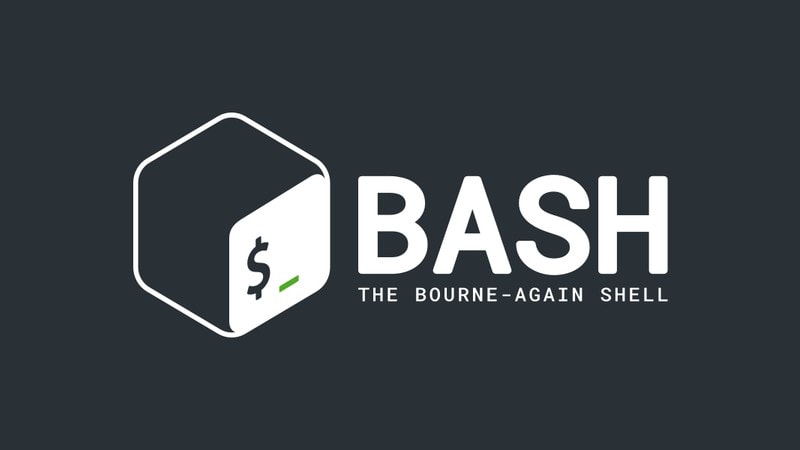 Essential Bash Flags for Bash Scripts